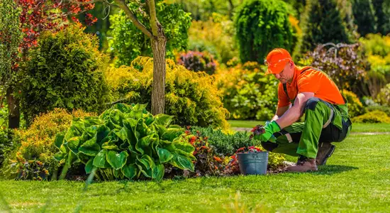 entretien-parc-et-jardin-33-4